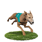 博弈老虎機娛樂城白金賽狗